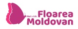 Floarea Moldovan